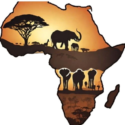 Asante Tours and Safaris